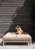Weisses Hundebett aus Metall - moderner Look | Metallbude